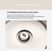 Cuisinière lente électrique intelligente programmable Sorge pour aliments pour bébés, contrôle tactile, capacité de 1,2 litre, couvercle en céramique, pot extérieur en plastique, usage domestique