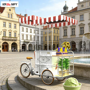 Nouveau design de tricycle électrique en fibre de verre avec capacité de chargement pour solution d'entreprise alimentaire mobile, chariot de café et de crème glacée - Product Image 6