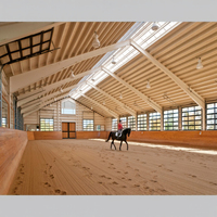 Estructura Prefabricada Moderna de Acero Galvanizado para Taller, Almacén, Granero, Establo, Diseño de Arena para Caballos, Estructura de Armadura y Correas