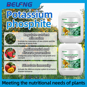 Phosphite de <span class=keywords><strong>potassium</strong></span>, <span class=keywords><strong>engrais</strong></span> hydrosoluble <span class=keywords><strong>riche</strong></span> <span class=keywords><strong>en</strong></span> <span class=keywords><strong>phosphore</strong></span> <span class=keywords><strong>et</strong></span> <span class=keywords><strong>en</strong></span> <span class=keywords><strong>potassium</strong></span>, macronutriments essentiels - Product Image 2