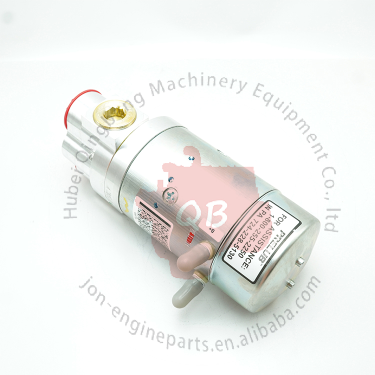 Ni kadek Purnamiasih　送料分 New P/N: 4307242 4087997 4076753 2897672 Fuel Pump for