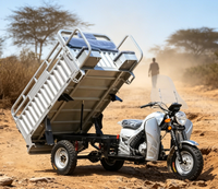 Tricycle de fret personnalisable de 200 cm³ refroidi par air avec freins à tambour avant et arrière pour les marchés d'Afrique et d'Asie du Sud-Est