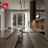 Armoires de cuisine en chêne laqué mat gris clair minimalistes de luxe Alland pour maison contemporaine et villa moderne