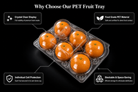 Kotak Kemasan Buah Plastik Transparan PET Clamshell dengan Tutup, Kotak Berry Bening untuk Pajangan Stroberi dan Blueberry