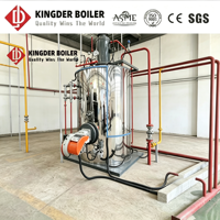 Générateur de vapeur automatique LHS 500 kg/h à gaz et mazout, chauffage rapide, conception compacte pour restaurants et blanchisseries au Vietnam