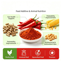 Extrait de piment rouge en poudre en vrac pour usine 10:1 20:1, extrait naturel de Capsicum Annuum avec Capsaïcine
