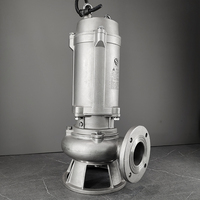 Pompes submersibles pour eaux usées, pour soubassement, fosse sèche, pompes de drainage en acier inoxydable, pompe en acier inoxydable Wqp