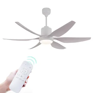 54 inch Modern Design 110v 220v DC Copper Motor 6 Speed Ceiling Fans with Led Lights Remote Control