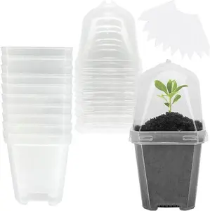 耐用塑料园艺花盆容器透明植物苗圃花盆，带湿度圆顶，用于幼苗蔬菜肉质插条