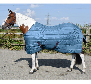 ซื้อพรมม้าที่มีเสถียรภาพที่ดีที่สุดเพื่อความสบายและความอบอุ่นเพื่อให้ม้าของคุณได้รับการปกป้องในสภาพที่มั่นคงและเย็น - Product Image 3