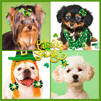 Vente en gros d'accessoires de coiffure pour chiens de compagnie irlandais St. Patrick Ins Festival Style Pet Hair Ornaments Supplies