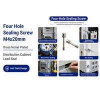 Vis de scellage industrielle à quatre trous M4x20mm en laiton nickelé pour armoire de distribution, scellage antivol