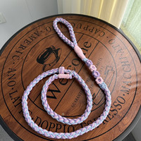 Laisse pour chien en paracorde couleur macaron pastel avec breloques marguerites faites à la main, mignonne pour petits chiens, pour la promenade quotidienne, accessoires pour animaux de compagnie de luxe