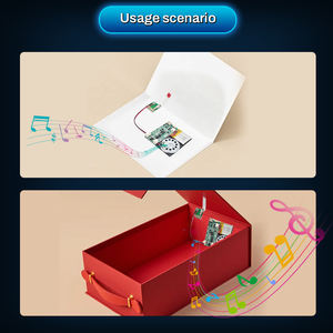 Módulo de Sonido con Activación por Deslizamiento, Reproducción MP3, Grabable, Descargable por USB, Batería de Litio Recargable, 8 MB de Almacenamiento, en Oferta - Product Image 6