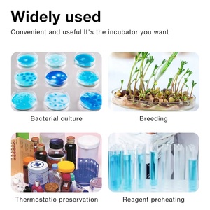 実験室用インキュベーター2L/6Lポータブル生化学科学用小型一定温度インキュベーター - Product Image 4