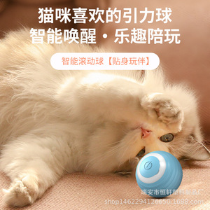 Smart Cat <b>Rolling</b> Ball <b>Blue</b> And Pink Automatic Interactive Toy For Pet Play - Product Image 1