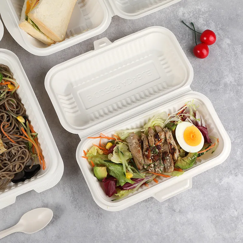 Emballage alimentaire chaud biodégradable Boîte d'aliments à emporter