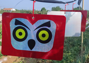 Disques répulsifs holographiques <span class=keywords><strong>pour</strong></span> oiseaux, écologiques, <span class=keywords><strong>pour</strong></span> effrayer <span class=keywords><strong>les</strong></span> <span class=keywords><strong>pigeons</strong></span>, dissuasifs réfléchissants <span class=keywords><strong>pour</strong></span> le jardin - Product Image 5