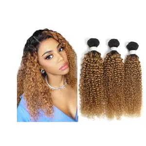 Mèches brésiliennes Remy naturelles bouclées, couleur blond ombré T1B-27 #, Double trame, racines foncées, deux tons, qualité 8A, vente en gros