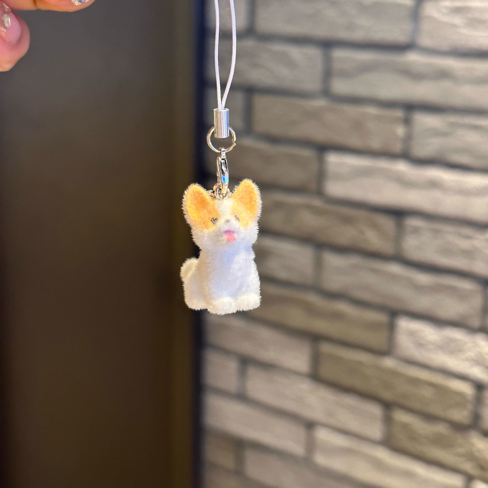 [Flocked Corgi] Without spiky hoops and rope