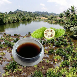 Jugo de Noni 100% Puro - Orgánico, Sin Azúcar, Derivado de Plantas, Procedente Directamente de Hainan - Product Image 3