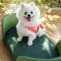Lit pour chien en cuir sur mesure pour grands chiens, lavable, surélevé, avec plaques télescopiques et gamelles en silicone
