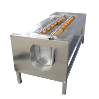 Machine à laver et à éplucher les pommes de terre à la brosse industrielle Machine à laver le panais, le manioc, le gingembre, les carottes et les légumes Laveuse de radis