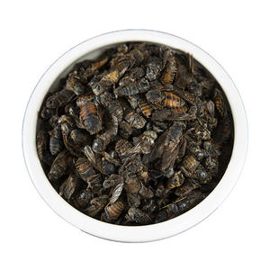 Bullfly Insectos secos a granel Mosca Mosquito Saltamontes Venta al por mayor y Dropshipping Estilo Ad-Dried - Product Image 5