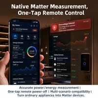 Solution Électrique Intelligente Tuya Matter : Kit de Développement PCBA Chine pour Prises et Interrupteurs Intelligents, Interopérabilité Écosystème Complet