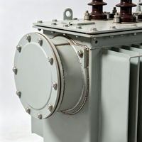 Transformateur triphasé abaisseur 35 kV 4000 kVA à bain d'huile S20-4000/35 à deux enroulements concentriques pour la distribution d'énergie 50 Hz