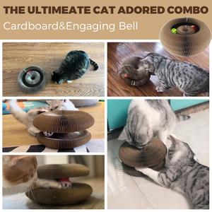 แผ่นข่วนแมวแบบมีลูกบอลในตัว Magic Organ Cat Scratcher Board ของเล่นแมวในร่ม ช่วยเสริมสร้างพัฒนาการทางจิตและร่างกายอย่างเต็มรูปแบบ - Product Image 6