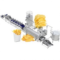 Volledig automatische aardappelchips productielijn, 500 kg/uur, commerciële machine voor het maken van knapperige aardappelchips en frieten