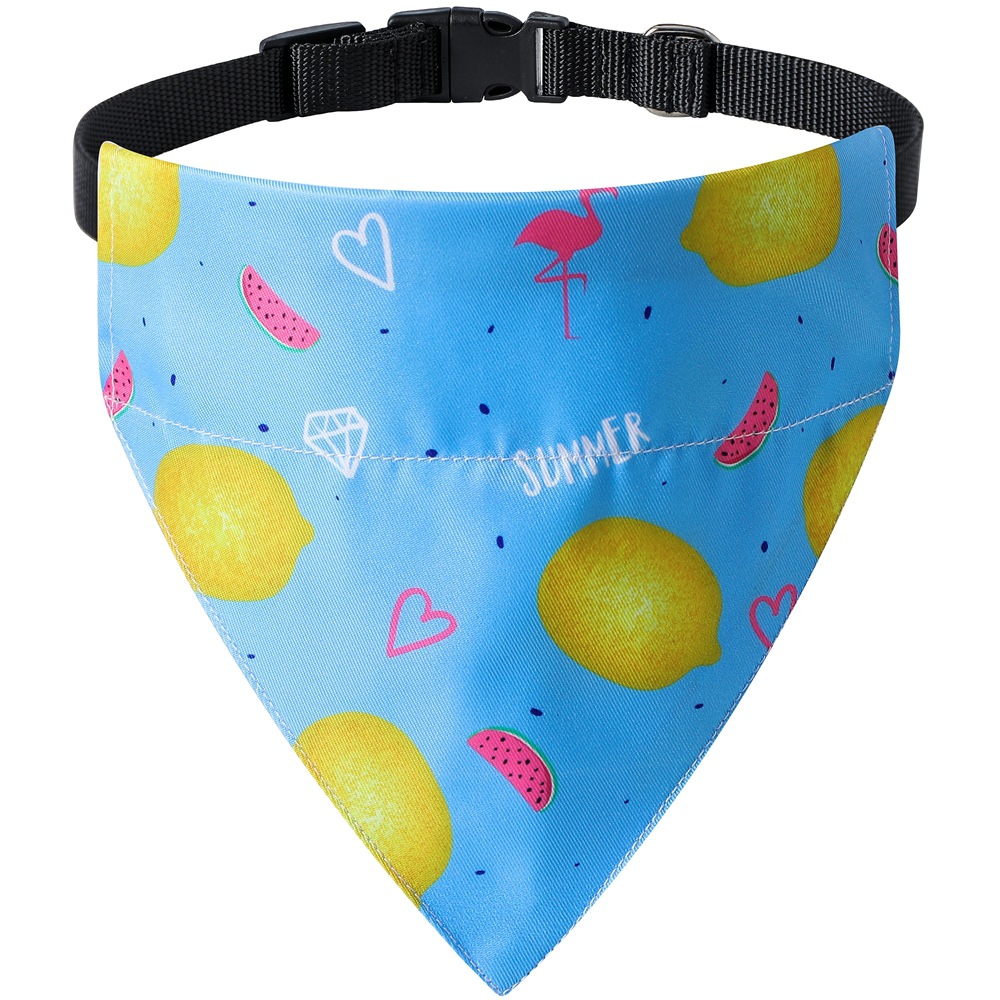 Lemon on blue background