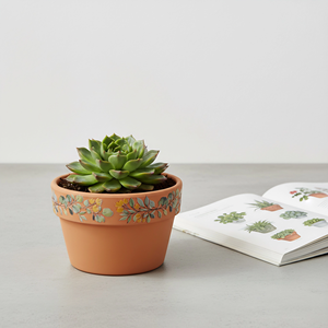 Vaso in Ceramica Resistente Fangsheng - Moderno Vaso per <span class=keywords><strong>Piante</strong></span> Succulente con Foro di Drenaggio e Decorazione per la Casa (12,5cm X 7cm) - Product Image 4