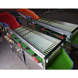 Machine de tri de concombres et de classement de pommes de terre très appréciée sur le marché industriel européen - Product Image 1