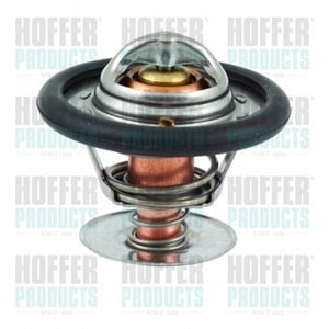 เทอร์โมสตัทเครื่องยนต์ Dn รุ่น 1001993 สำหรับรถยนต์เชฟโรเลต อะไหล่ทดแทน - Product Image 1