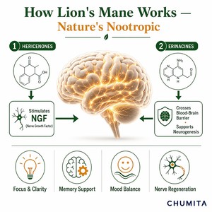 <strong>Lion</strong> <strong>Mane</strong> <strong>Mushroom</strong> Capsule OEM 1000mg Dual Extract Cognitive Focus Memory Nootropic Vegan Wholesale Private Label - Product Image 2