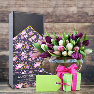 ชุดเครื่องมือทำสวน 6 ชิ้น เครื่องมือเหล็กทนทานสำหรับทำสวนกลางแจ้ง ใช้สำหรับงาน DIY - Product Image 3