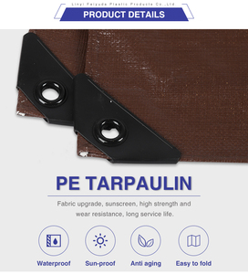 <span class=keywords><strong>Bâche</strong></span> en polyéthylène pour <span class=keywords><strong>piscine</strong></span> fabriquée en Chine, <span class=keywords><strong>bâche</strong></span> pour voiture <span class=keywords><strong>électrique</strong></span>/<span class=keywords><strong>bâche</strong></span> en PE bon marché - Product Image 1