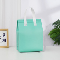 Sacs isothermes pour épicerie à motif de dessin animé, sacs isothermes pour 2 bouteilles de vin, sacs à emporter