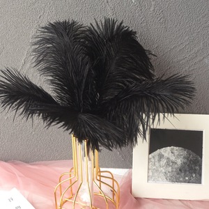 Plume d'autruche en vrac de 30 à 35cm teinte colorée de haute qualité pour lampe de fête artisanat de décoration murale de mariage artisanat - Product Image 2
