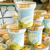 Gobelet à crème glacée en plastique PET de qualité alimentaire vide avec couvercle 8 oz 16 oz Emballage jetable pour yaourt, pudding, gelée, milkshake, mousse