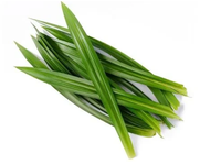 Poudre pure d'extrait de feuilles de pandan Extrait de plante bio Poudre d'extrait de feuille de pandan