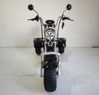 Scooter électrique à trois roues Loyal, pneus larges, 2000W/4000W, GPS, étanche, pliable, batterie au lithium, tricycle Citycoco, chariot de golf