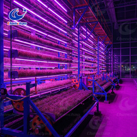 Système de culture verticale circulaire professionnel pour serres, avec rack de culture hydroponique automatisé pour fourrage, destiné aux pépinières.
