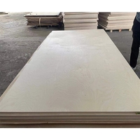 Contreplaqué de bouleau Factory3/4 E0 finition UV 4x8 Chine 3mm 12 18 15 Usage commercial Certifié FSCISO Première qualité Double face Garantie 1 an