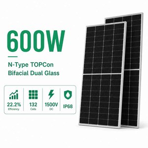 Panel Solar Monocristalino de Silicio Tipo N de Doble Vidrio ZAIYANG de 600W, Alta Eficiencia (22.2%), Bajo <span class=keywords><strong>LCOE</strong></span>, Fusible de 35A para Granjas Solares Comerciales - Product Image 1