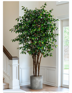 Hiện Đại Nhân Tạo Bonsai Cây Trong Nhà Bất Chi Nhánh Banyan Nhựa Vườn Cảnh Quan Bất Chi Nhánh Trang Trí Nội Thất Cho Sinh Nhật - Product Image 4