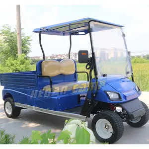electric utility vehicle golf cart mini 2 seater golf cart with cargo bed