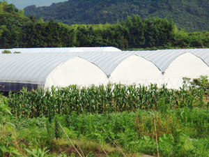 Protection de l'environnement privation de lumière serre <span class=keywords><strong>agricole</strong></span> <span class=keywords><strong>film</strong></span> <span class=keywords><strong>noir</strong></span> et blanc - Product Image 5